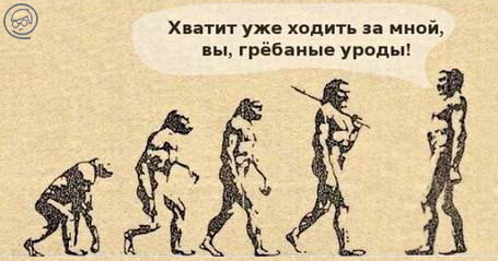 E`volyutsiya-cheloveka-karikatura